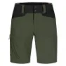 Gray green 1