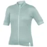 Mains grey