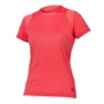 Punch pink