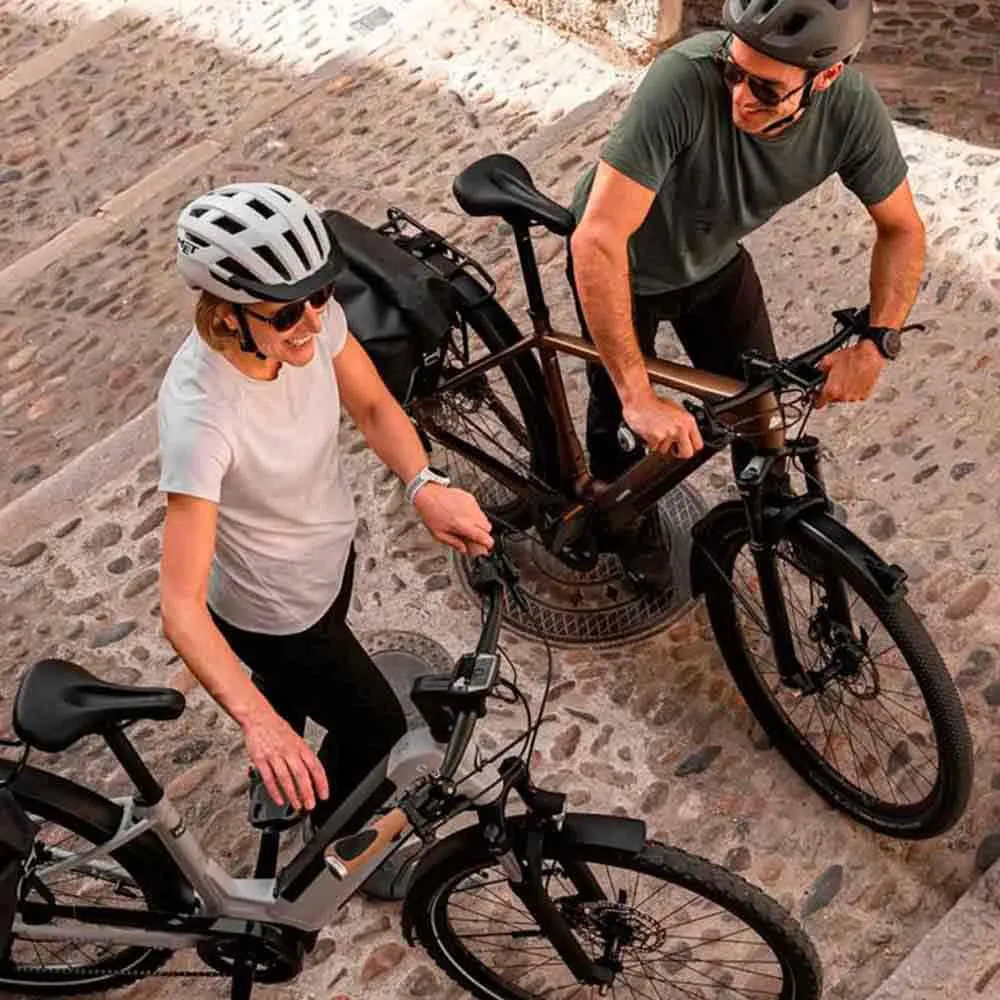 Ergon Gp1 Evo Rohloff/nexus Håndtak, Black, 130 / 100mm