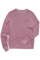 Erstwhile Sweatshirt Amateur