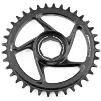e*thirteen E-bike Chainring