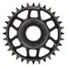 e*thirteen Helix Core Tq Hpr50 Dm 21.5mm Offset Kjettingring, Black, 32t