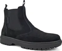 Exani Men's Tempera