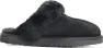 Exani Women's Obey