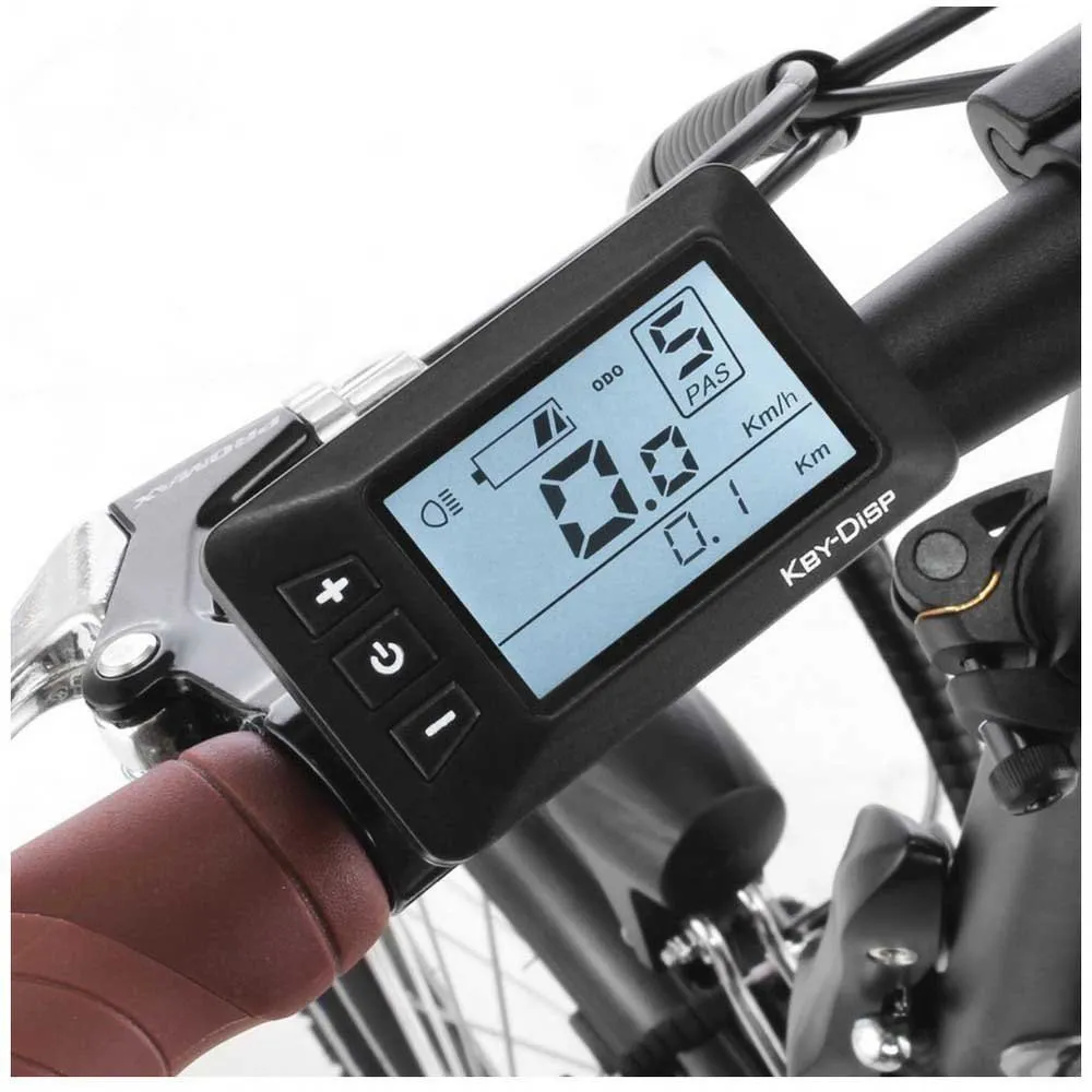 Fischer Bikes Faltrad Fr 18 Elektrisk Sykkel, Matte black, One Size, 317Wh, Elsykkel Fischer Bikes Faltrad Fr 18 Elektrisk Sykkel, Matte black, One Size, 317Wh, Elsykkel