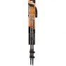 Fizan Adventure Spaserstokker, Desert, 70-140cm