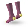 Fizik Team Edition Cycling Socks