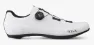 Fizik Tempo R4 Overcurve Landeveissko