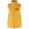 Mustard yellow 2