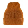 Acorn