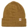 Acorn