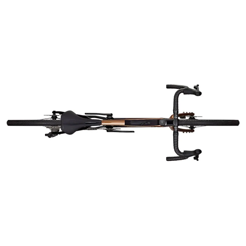 Focus Atlas 8.9 Rival Etap Axs Xplr 2024 Grussykkel, Goldbrown glossy / carbon raw glossy, XS