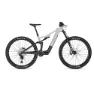 Lightgrey glossy / carbon raw glossy