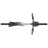 Focus Raven 8.8 29´´ 2023 Terrengsykkel