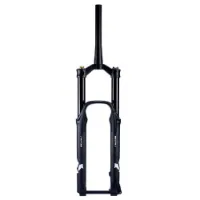 Formula Selva C Boost 15x110 Mm 43 Offset Mtb-gaffel
