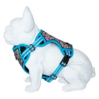 Freedog Boreal Hundesele