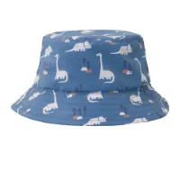 Fresk Dinosaurhatt