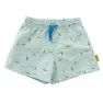 Fresk Tsw Badebukse, Surf blue, 1-2Y