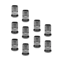 Fulcrum Racing Zero Nipler 10 Enheter