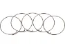 Fulcrum Sperrklinkenfedern 5-RM0-005 für MTB Freilaufkörper