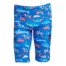 Funky Trunks Miniman Jammer male
