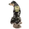 Fuzzyard Active Go Hundesele