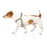 Fuzzyard Active Strap Hundesele