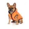 Fuzzyard Aeon Hundegenser