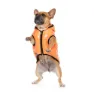 Fuzzyard Aeon Hundegenser