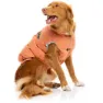 Fuzzyard Ashbury Hundegenser