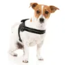 Fuzzyard Blackout Hundesele