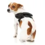 Fuzzyard Blackout Hundesele