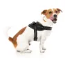 Fuzzyard Blackout Hundesele