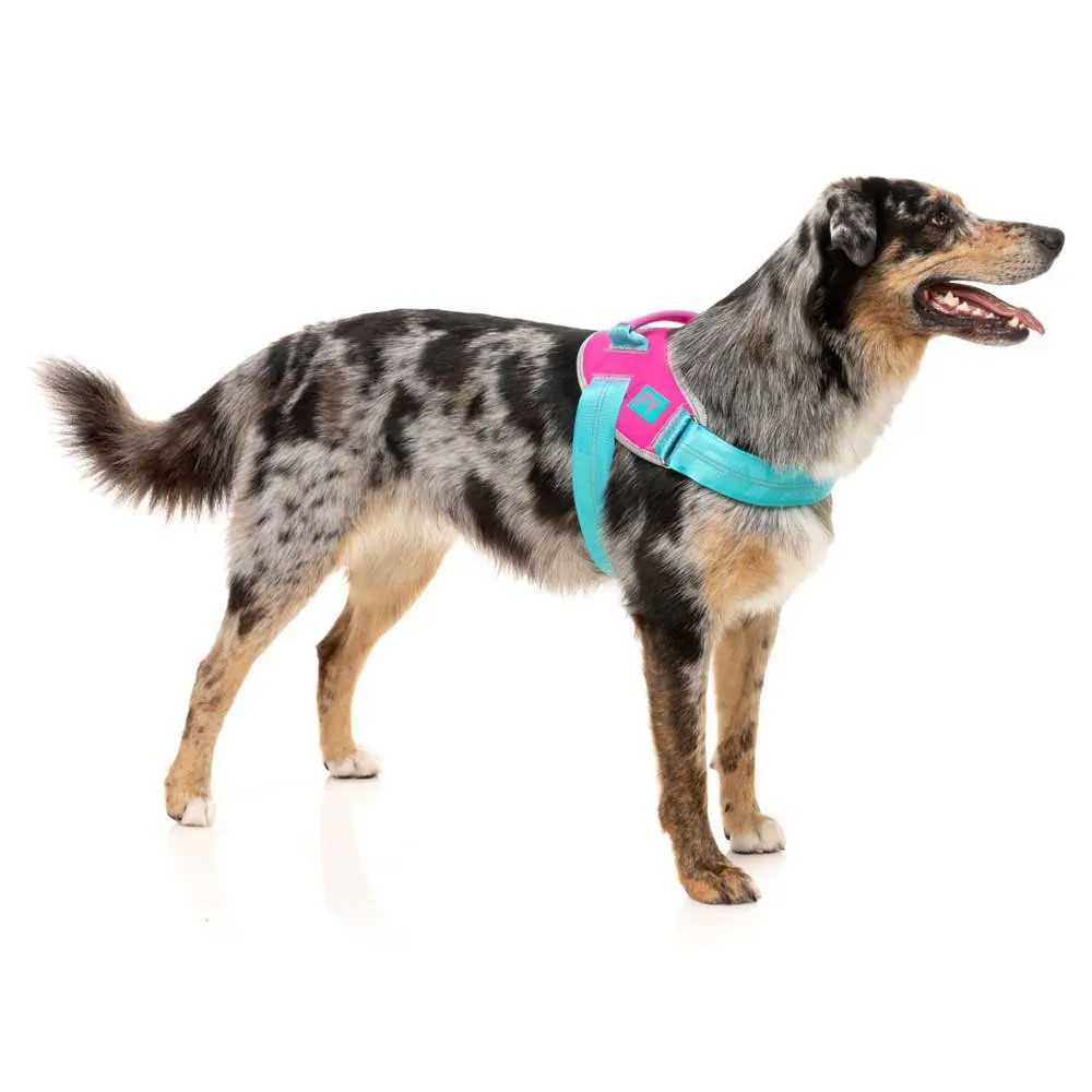 Fuzzyard Bubblegum Hundesele Fuzzyard Bubblegum Hundesele