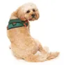 Fuzzyard Commando Hundesele