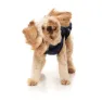 Fuzzyard Fitzroy Hundegenser