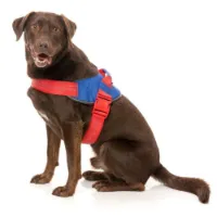 Fuzzyard Patriot Hundesele