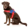 Fuzzyard Patriot Hundesele