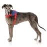 Fuzzyard Patriot Hundesele
