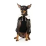 Fuzzyard Sebastian Hundegenser