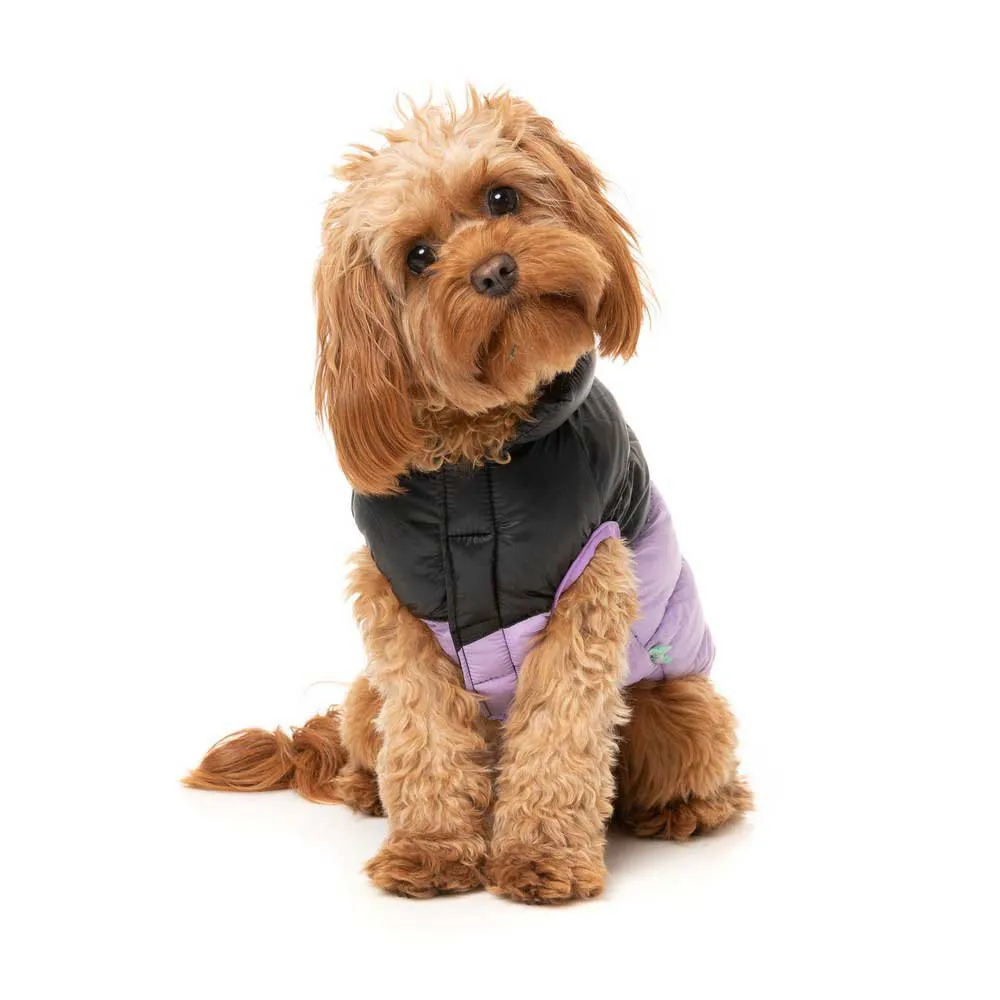 Fuzzyard South Harlem Hundegenser