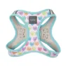 Fuzzyard Step In Candy Hearts Hundesele