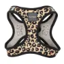 Fuzzyard Step In Javan Hundesele