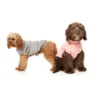 Fuzzyard Stevie Hundegenser