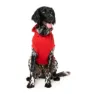 Fuzzyard Zoomies Hundegenser