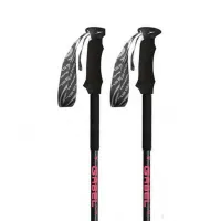 Gabel Escape Carbon Tour Lite Ai Spaserstokker