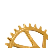 Garbaruk Race Face Cinch Ovalt Drev
