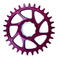 Garbaruk S-works Kjettingring