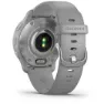 Garmin Venu 2 Plus Klokke, Grey / silver